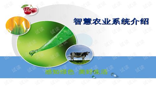 智慧農(nóng)業(yè)智能化系統(tǒng)建設(shè)方案與管理軟件文檔解析