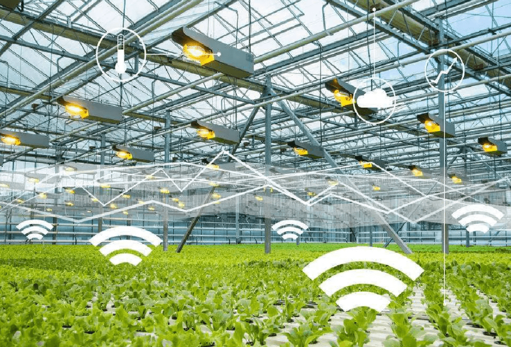 物聯網時代下，物聯卡在智慧農業中的應用場景與特性解析