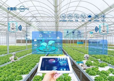 加速農業數字化轉型 智能農業管理的實踐與未來